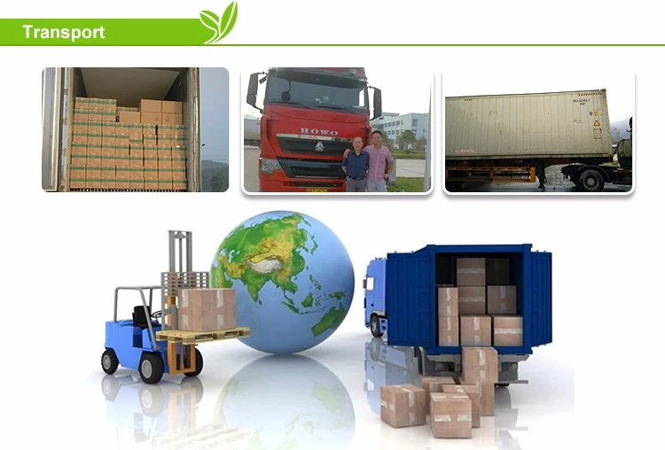 frozen Kiwi wholesalers frozen Kiwi wholesalers
