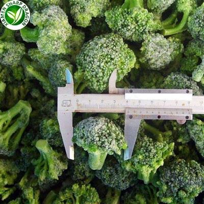 Broccoli freschi congelati