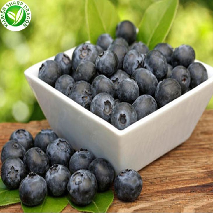 Frozen Blueberries Cheap