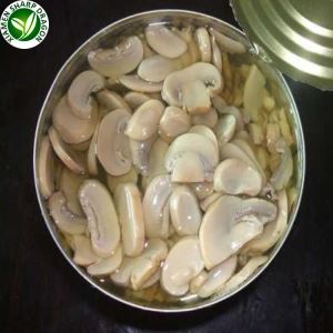 Funghi Champignon In Scatola