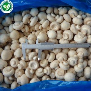 Nutrizione dei funghi champignon