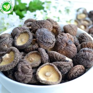 Vendita all'ingrosso di funghi shiitake secchi
