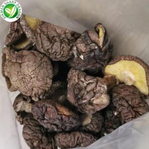 Acquirenti di funghi secchi