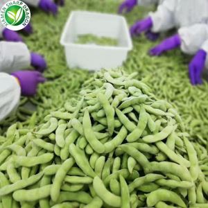 Produttore di edamame congelati