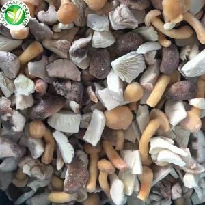 Funghi Misti Surgelati