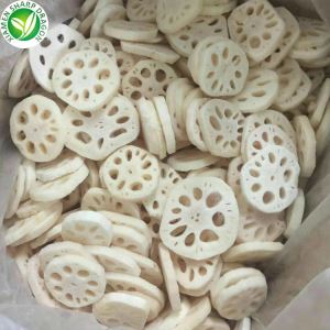 Loto Radice Gusto