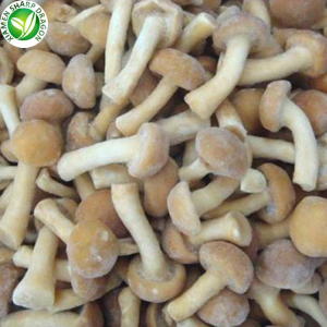 Coltivazione del fungo Nameko