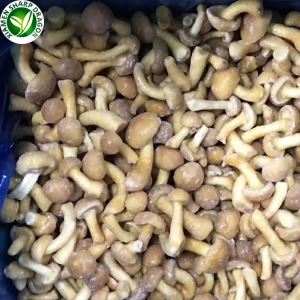 Sapore di funghi Nameko