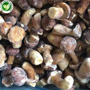 Funghi porcini affettati congelati