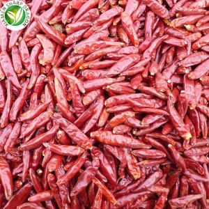 Fornitore di peperoncino