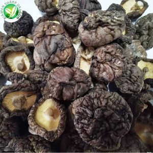 Funghi Shiitake secchi per dimagrire