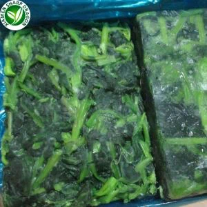 Spinaci Tagliati E Pezzi Congelati