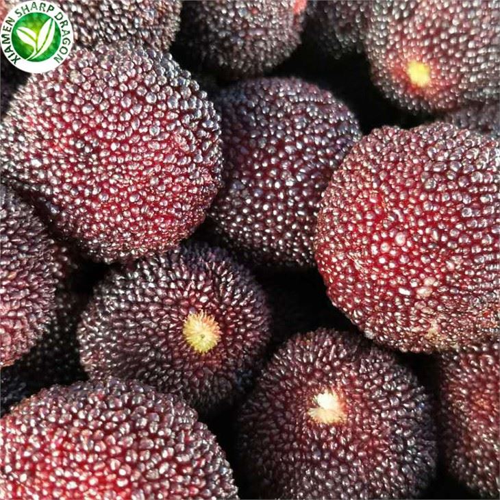 Bayberry Fruit