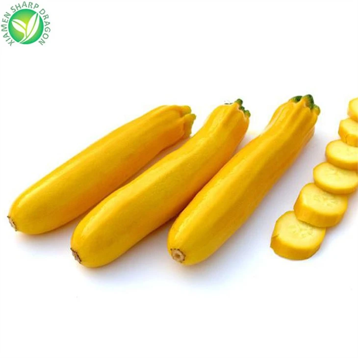 Frozen Zucchini Yellow