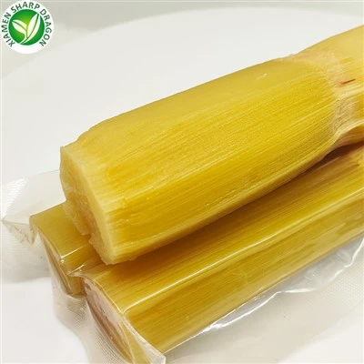 Canna da zucchero fresca in vendita