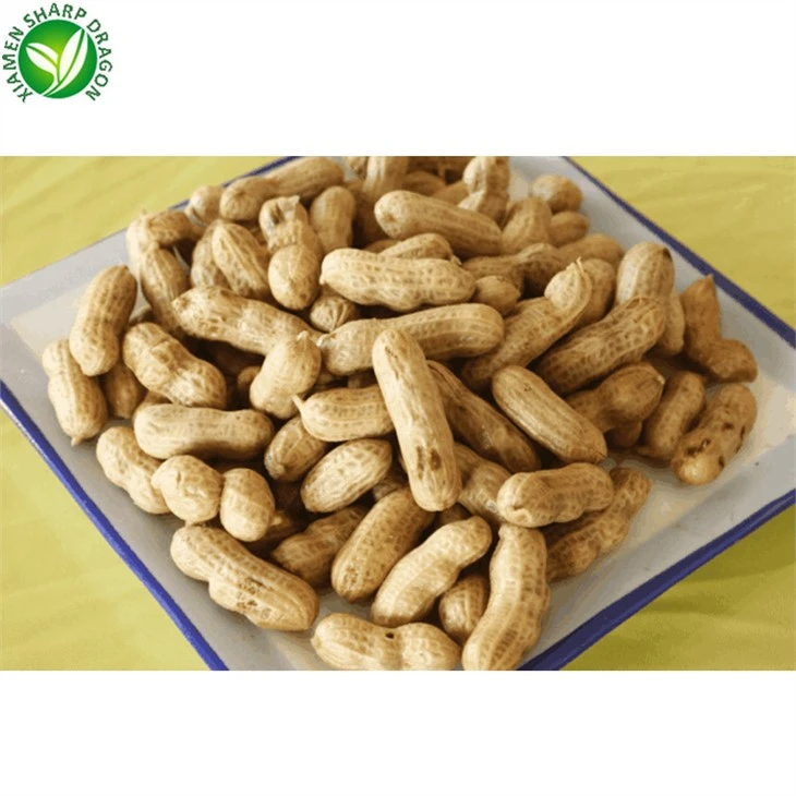 Supply Frozen Peanuts
